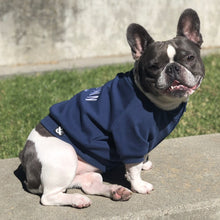 Load image into Gallery viewer, HUMBLE Crewneck